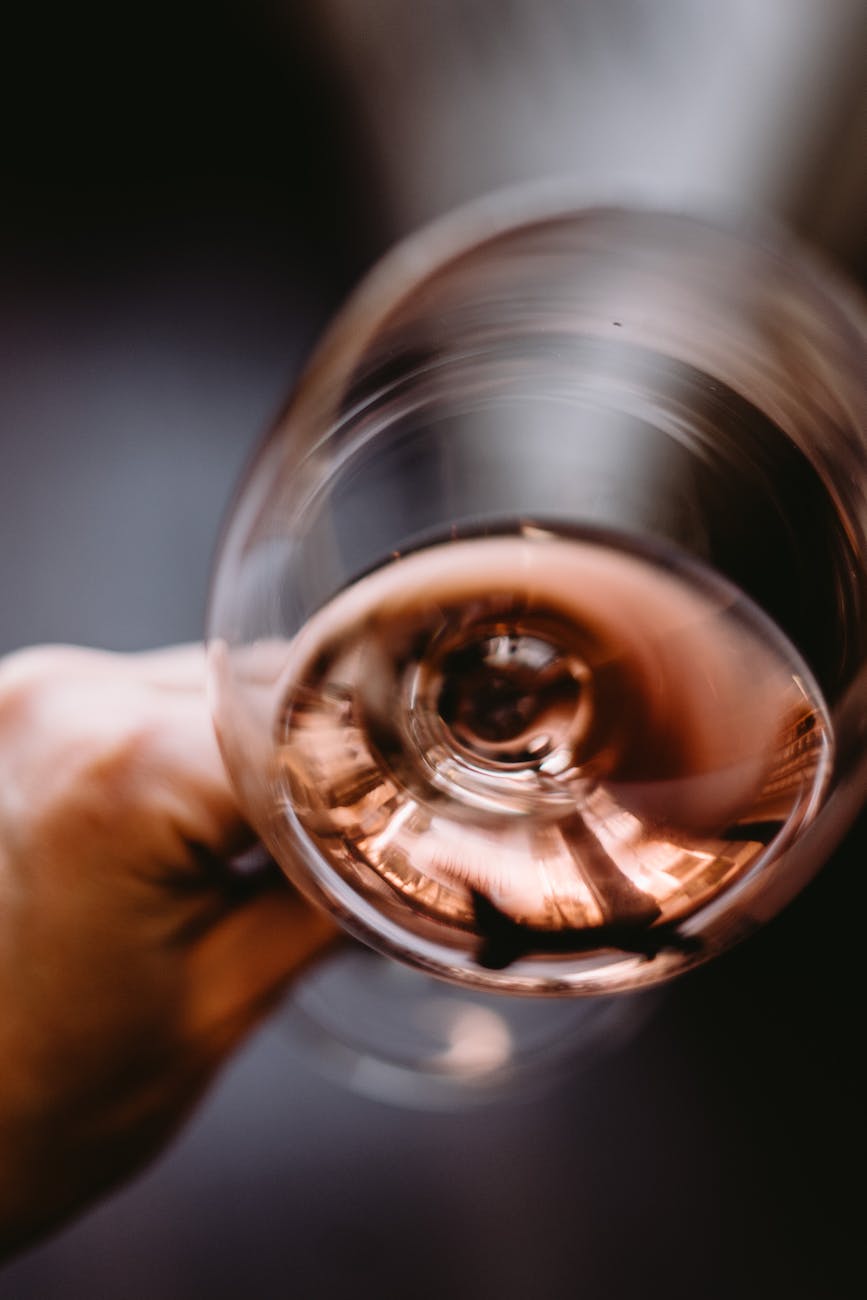 person holding glass of rose wine